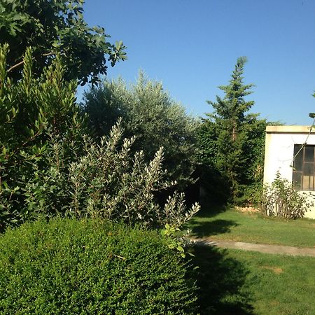 B&B - Le Vieux Figuier Vacqueyras Extérieur photo