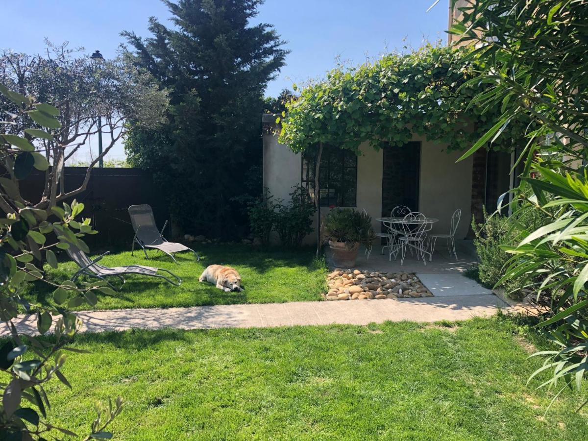 B&B - Le Vieux Figuier Vacqueyras Extérieur photo