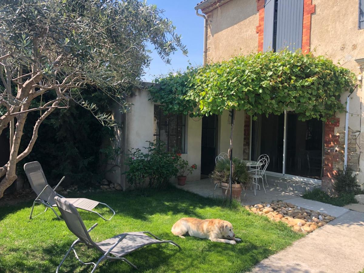 B&B - Le Vieux Figuier Vacqueyras Extérieur photo