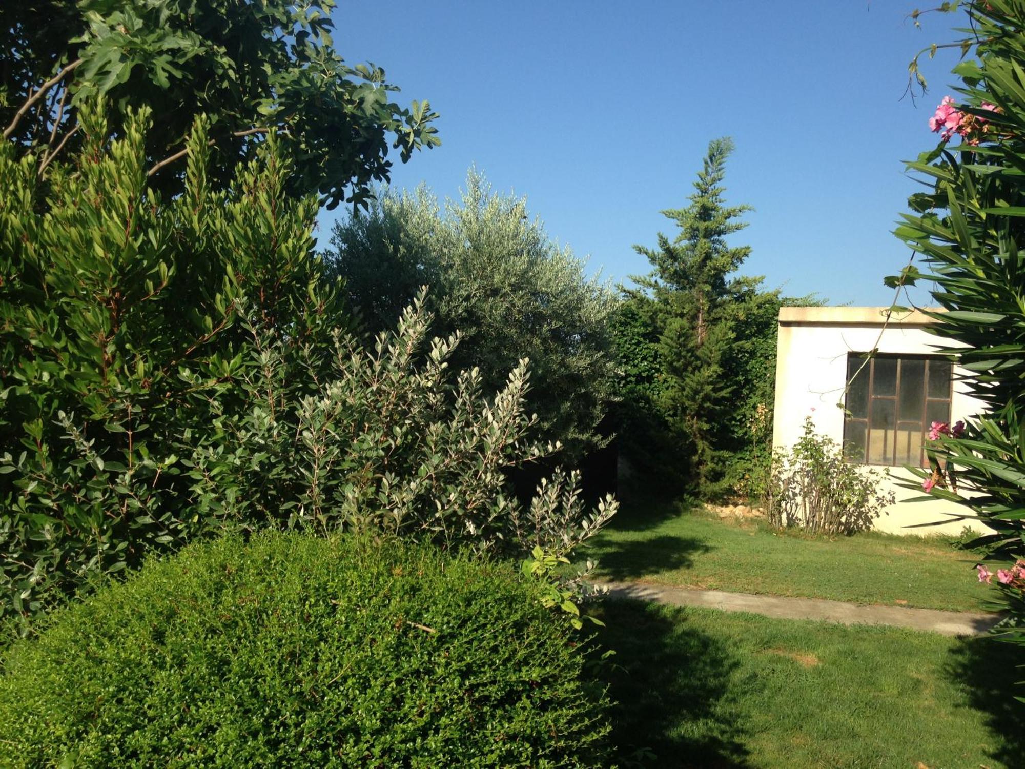 B&B - Le Vieux Figuier Vacqueyras Extérieur photo