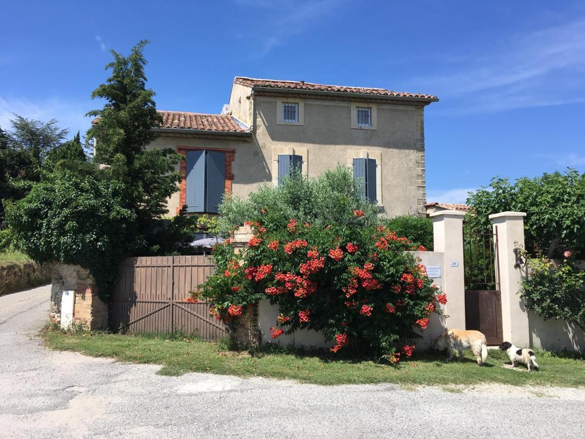 B&B - Le Vieux Figuier Vacqueyras Extérieur photo